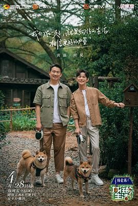 數(shù)據(jù)庫性能調(diào)優(yōu)